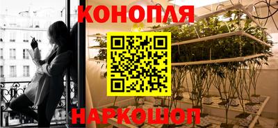 индика Апшеронск