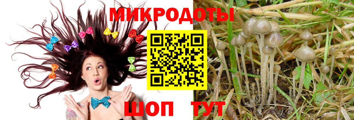 Галлюциногенные грибы ЛСД  Вход с VPN  Берёзовский  Псилоцибиновые грибы Psilocybe 